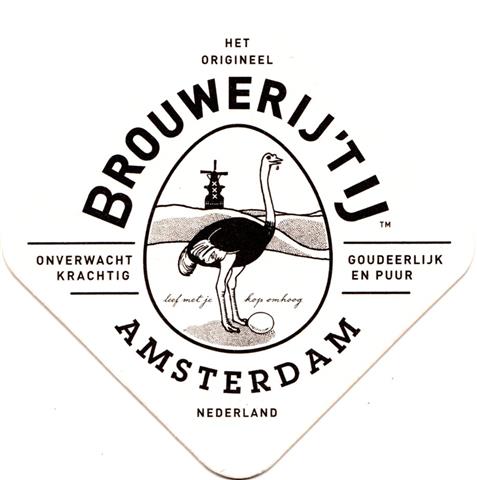 amsterdam nh-nl tij raute 1a (180-het original-schwarz)